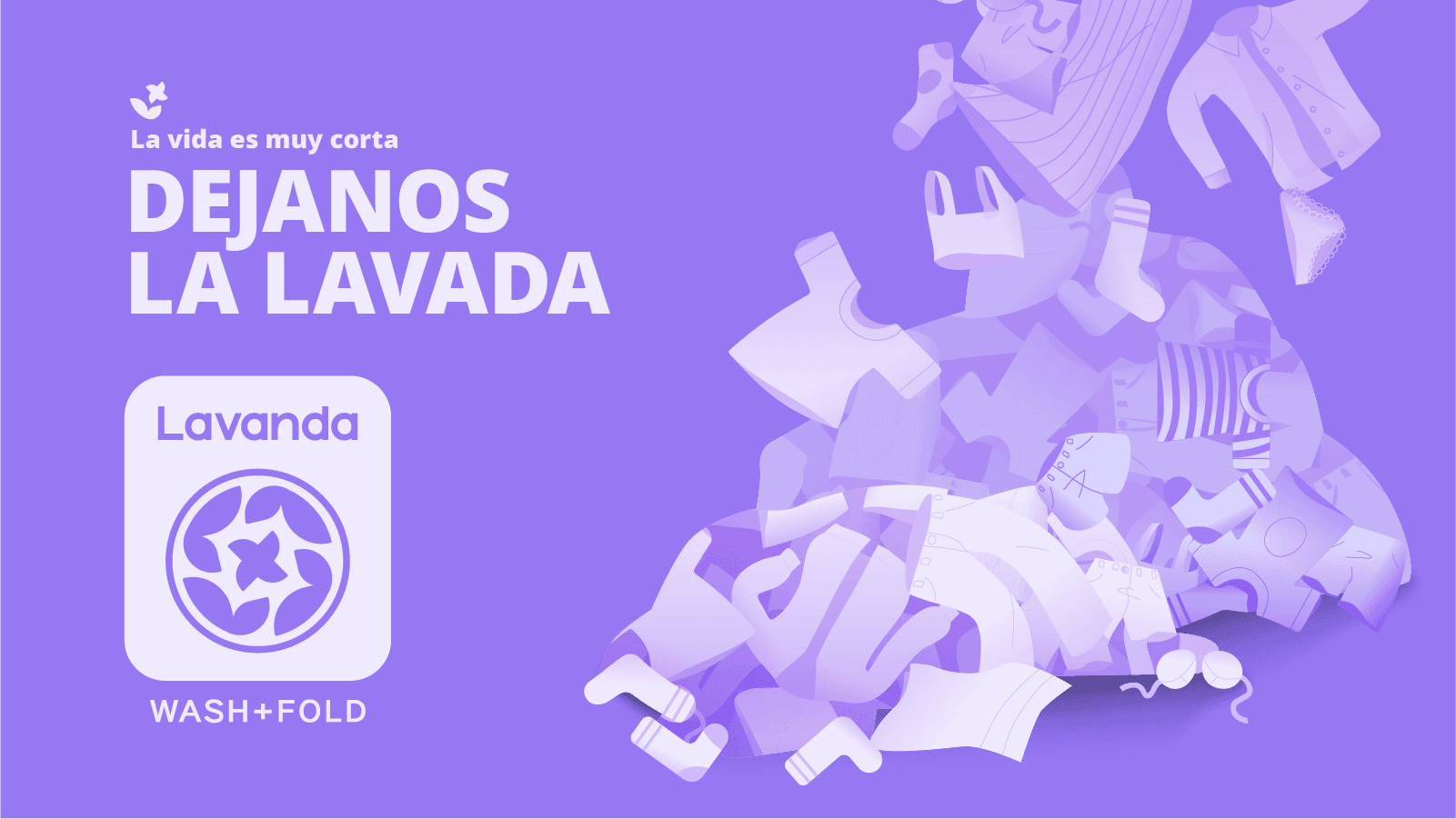 Servicios Lavanda